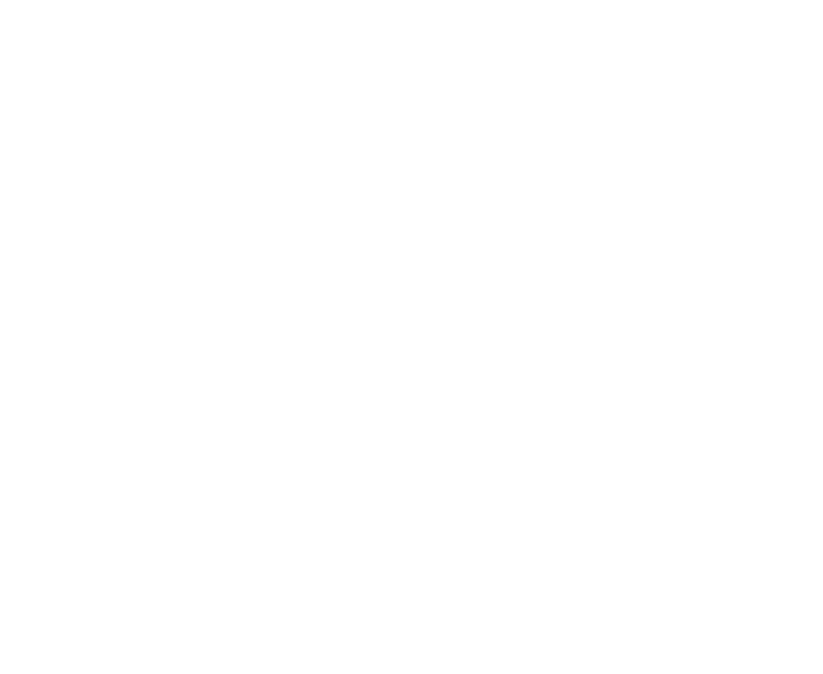Pega